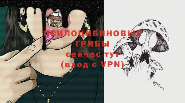 мет Армянск