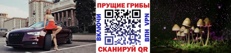 Псилоцибиновые грибы Cubensis  Кыштым 